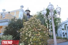 Филармонический сад Баку (фотосессия)