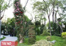Филармонический сад Баку (фотосессия)