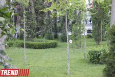 Филармонический сад Баку (фотосессия)