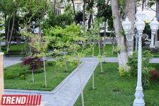 Филармонический сад Баку (фотосессия)