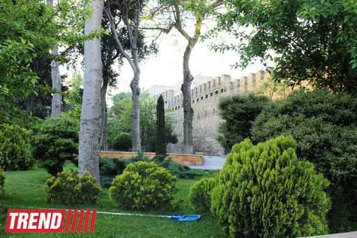 Филармонический сад Баку (фотосессия)