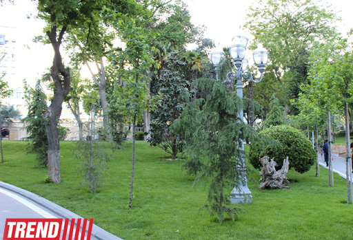 Филармонический сад Баку (фотосессия)