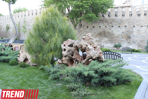 Филармонический сад Баку (фотосессия)