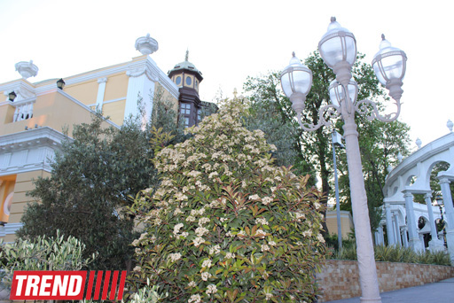 Филармонический сад Баку (фотосессия)