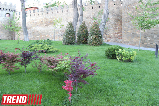 Филармонический сад Баку (фотосессия)