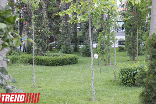 Филармонический сад Баку (фотосессия)