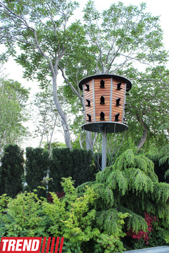 Филармонический сад Баку (фотосессия)