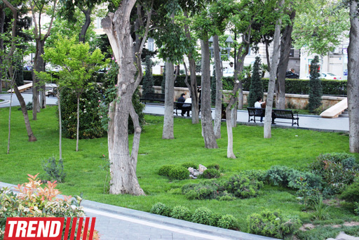 Филармонический сад Баку (фотосессия)