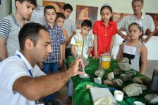 В Кюрдамире состоялось открытие выставки в рамках "Azerbaijan Art Festival-2013" (фото)