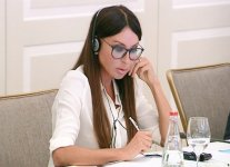 Под председательством Мехрибан Алиевой состоялось второе заседание Организационного комитета первых Европейских игр (ФОТО)