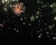 В Баку на побережье Каспийского моря состоялся юбилейный вечер Алсу (фото)