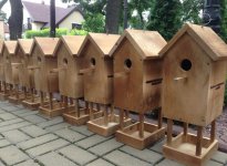 В парке имени Зарифы Алиевой в украинском городе Ирпень проведены экологические мероприятия (ФОТО)