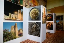 Первой леди Азербайджана Мехрибан Алиевой вручен диплом почетного гражданина города Канны (ФОТО)