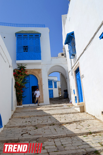 Путешествие в Тунис: первая туристическая группа из Азербайджана (фото, часть 1)