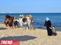 Путешествие в Тунис:  "наши" за бугром, первые впечатления (фото, часть 2)