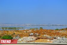 Путешествие в Тунис:  "наши" за бугром, первые впечатления (фото, часть 2)