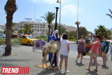 Путешествие в Тунис:  "наши" за бугром, первые впечатления (фото, часть 2)