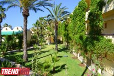 Путешествие в Тунис:  "наши" за бугром, первые впечатления (фото, часть 2)