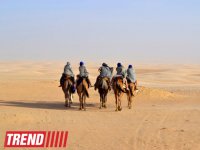 Путешествие в Тунис: навязчивые торгаши, талассотерапия, "короли пустынь" (фото, часть 3)