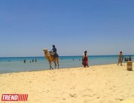 Путешествие в Тунис: навязчивые торгаши, талассотерапия, "короли пустынь" (фото, часть 3)