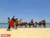 Путешествие в Тунис: навязчивые торгаши, талассотерапия, "короли пустынь" (фото, часть 3)