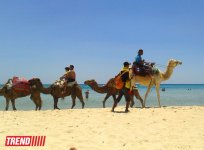 Путешествие в Тунис: навязчивые торгаши, талассотерапия, "короли пустынь" (фото, часть 3)