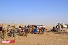 Путешествие в Тунис: навязчивые торгаши, талассотерапия, "короли пустынь" (фото, часть 3)