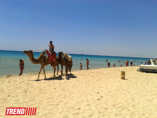 Путешествие в Тунис: навязчивые торгаши, талассотерапия, "короли пустынь" (фото, часть 3)