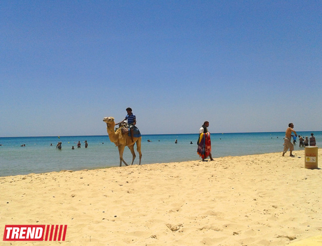 Путешествие в Тунис: навязчивые торгаши, талассотерапия, "короли пустынь" (фото, часть 3)