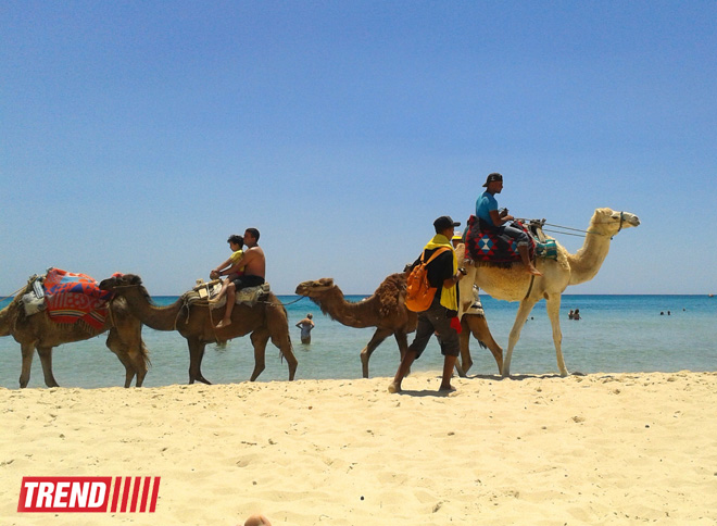 Путешествие в Тунис: навязчивые торгаши, талассотерапия, "короли пустынь" (фото, часть 3)