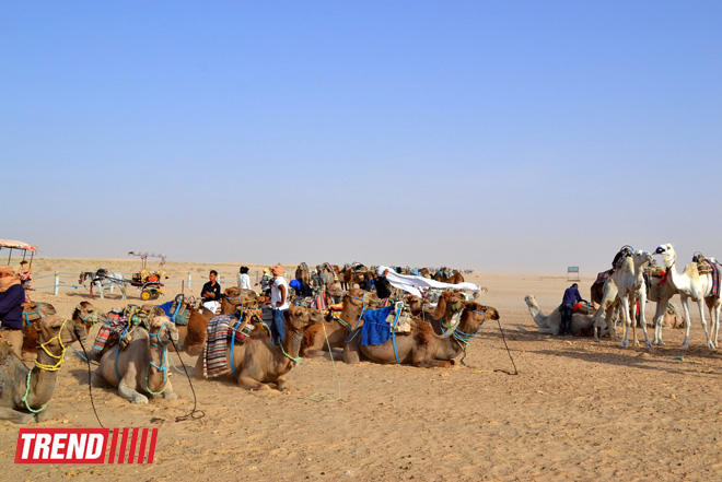 Путешествие в Тунис: навязчивые торгаши, талассотерапия, "короли пустынь" (фото, часть 3)