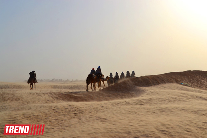 Путешествие в Тунис: навязчивые торгаши, талассотерапия, "короли пустынь" (фото, часть 3)