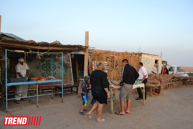 Путешествие в Тунис: навязчивые торгаши, талассотерапия, "короли пустынь" (фото, часть 3)