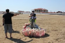 Полет на параплане на побережье Каспийского моря в Баку (фотосессия)