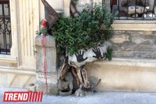 Уникальный фасад дома Али Шамси в Ичери Шехер: "Моей первой кистью был гвоздь" (фото)