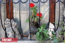 Уникальный фасад дома Али Шамси в Ичери Шехер: "Моей первой кистью был гвоздь" (фото)