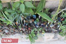 Уникальный фасад дома Али Шамси в Ичери Шехер: "Моей первой кистью был гвоздь" (фото)