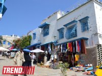 Путешествие в Тунис: в бело-голубом городке Сиди-бу-Саид (фото, часть 4)