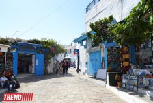 Путешествие в Тунис: в бело-голубом городке Сиди-бу-Саид (фото, часть 4)