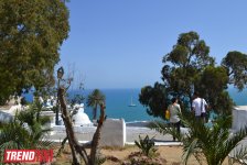 Путешествие в Тунис: в бело-голубом городке Сиди-бу-Саид (фото, часть 4)