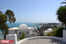 Путешествие в Тунис: в бело-голубом городке Сиди-бу-Саид (фото, часть 4)