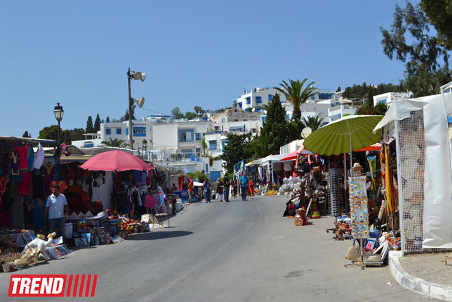 Путешествие в Тунис: в бело-голубом городке Сиди-бу-Саид (фото, часть 4)
