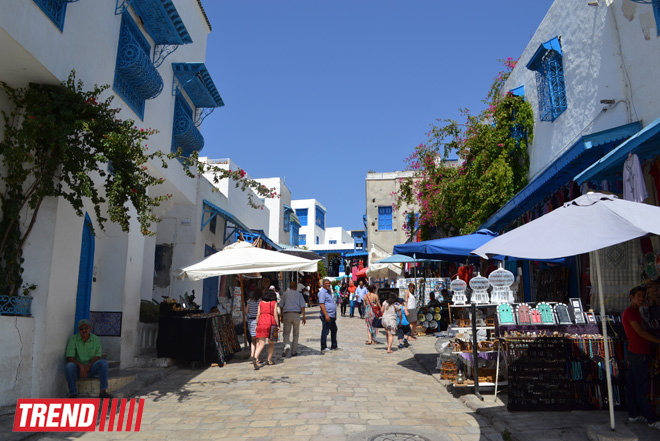 Путешествие в Тунис: в бело-голубом городке Сиди-бу-Саид (фото, часть 4)