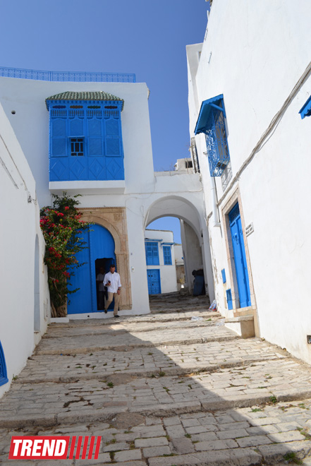 Путешествие в Тунис: в бело-голубом городке Сиди-бу-Саид (фото, часть 4)