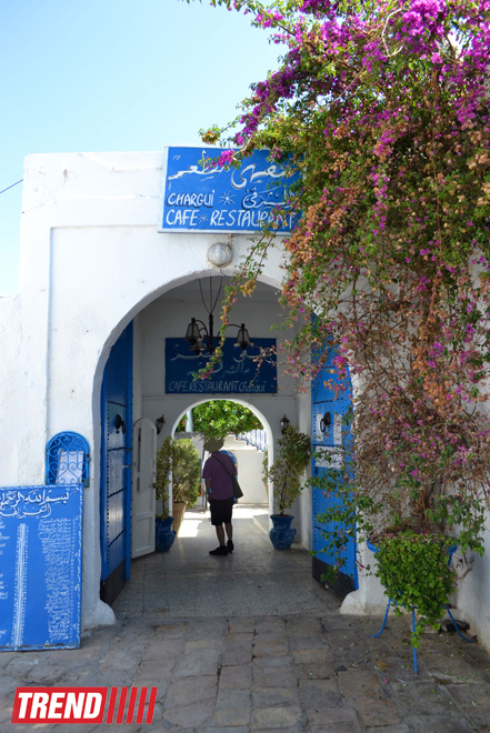 Путешествие в Тунис: в бело-голубом городке Сиди-бу-Саид (фото, часть 4)