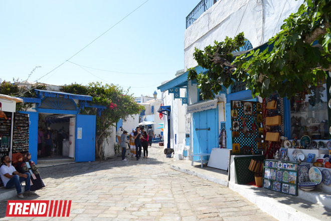 Путешествие в Тунис: в бело-голубом городке Сиди-бу-Саид (фото, часть 4)