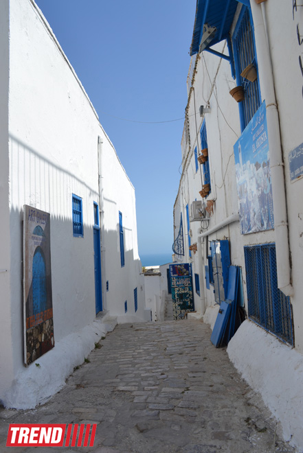 Путешествие в Тунис: в бело-голубом городке Сиди-бу-Саид (фото, часть 4)
