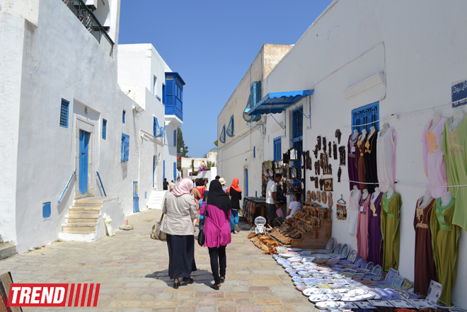Путешествие в Тунис: в бело-голубом городке Сиди-бу-Саид (фото, часть 4)