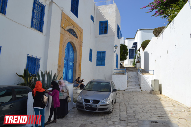 Путешествие в Тунис: в бело-голубом городке Сиди-бу-Саид (фото, часть 4)
