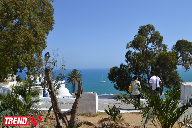 Путешествие в Тунис: в бело-голубом городке Сиди-бу-Саид (фото, часть 4)